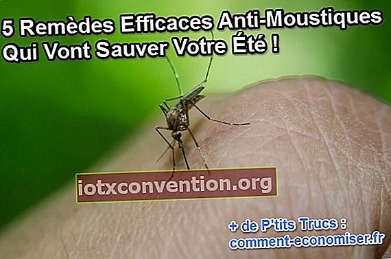 solusi alami dan efektif untuk mengusir nyamuk