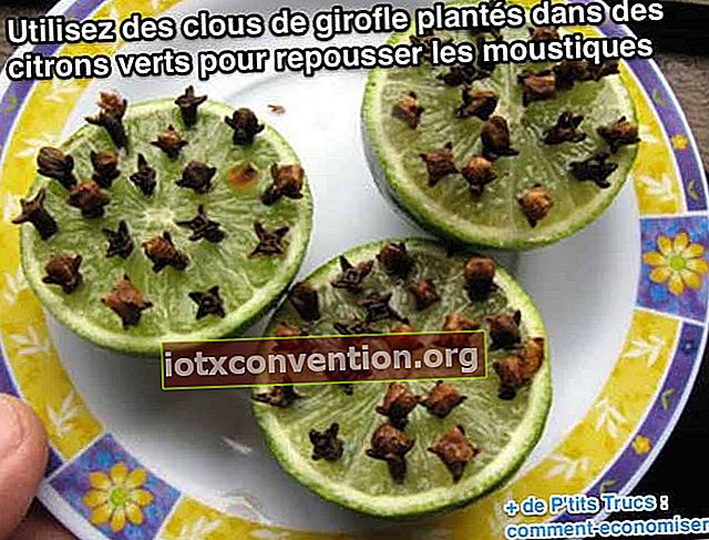 Usa i chiodi di garofano piantati nei lime per respingere le zanzare
