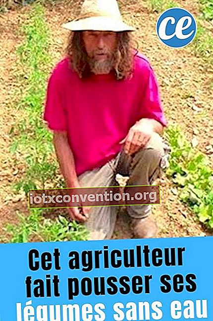 Pascal Poot ist ein französischer Bauer, der sein Gemüse anbaut, ohne es zu gießen.