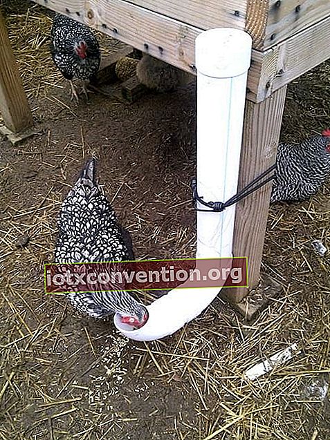 einfach herzustellender Hühnerfutterautomat mit PVC-Rohr