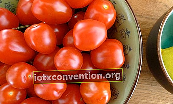 wie man Tomaten richtig lagert