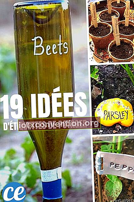 19 Fantastische Ideen, um schöne Gemüsegartenetiketten kostenlos herzustellen.