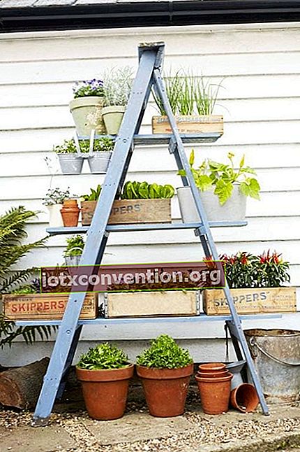 Eine recycelte Leiter, um einen Garten in Töpfen zu machen