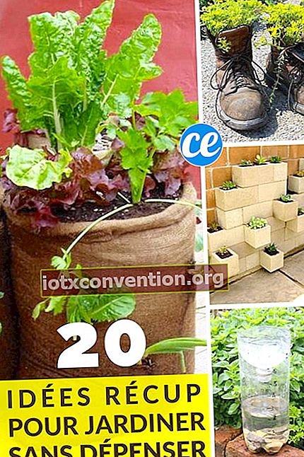 20 idee super risparmio da salvare in giardino.
