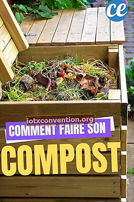 Wie mache ich meinen eigenen Kompost?