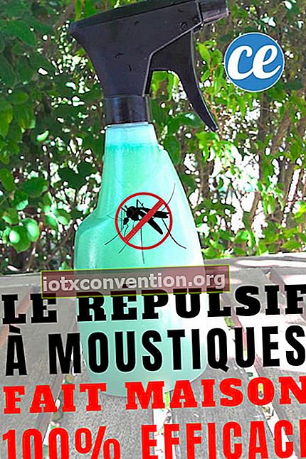 Penghalau nyamuk buatan sendiri yang 100% berkesan