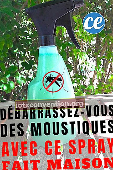 receptet på hemlagad spray för att hålla myggor borta i trädgården