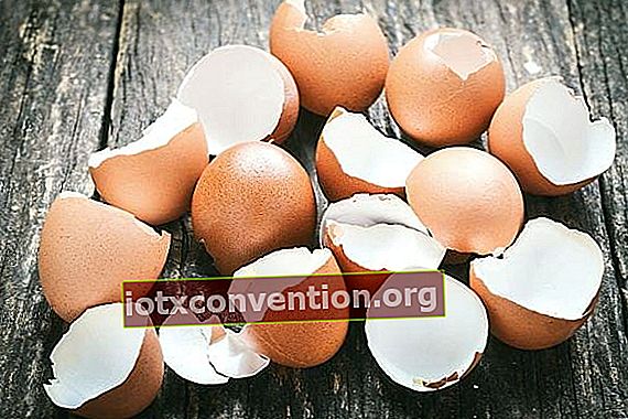 guscio d'uovo vuoto adagiato su assi di legno