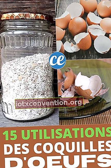15 cara untuk menggunakan kembali kulit telur