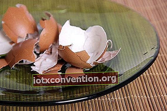 gusci d'uovo rotti su un piatto