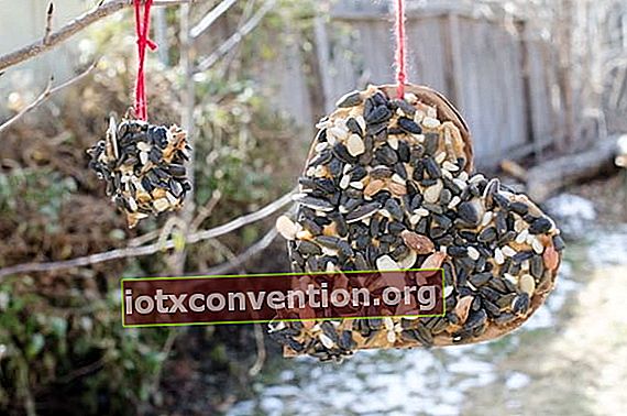 Pappherzen bedeckt mit Erdnussbutter und Samen, um die Vögel zu füttern