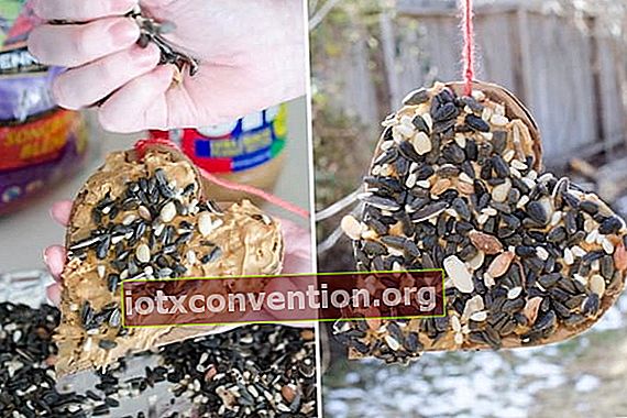tutorial membuat dispenser benih burung dari karton