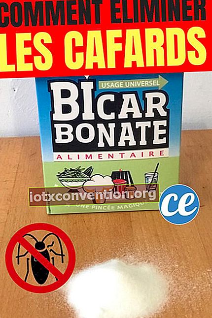 Il bicarbonato di sodio è un prodotto anti-scarafaggio naturale ed efficace