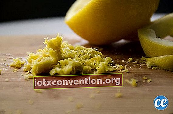 Zitronenschale mit Zitronenschale machen