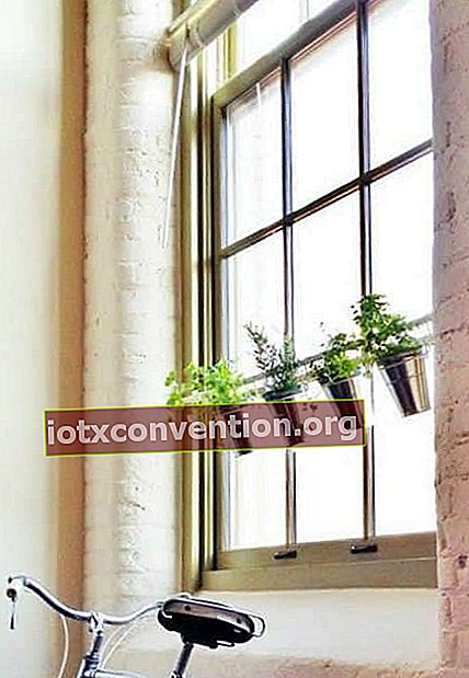 Gunakan batang yang dapat diperpanjang untuk menggantung tanaman di depan jendela.