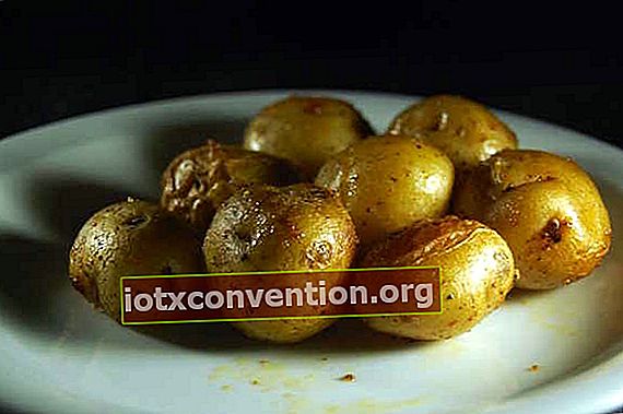 Bratkartoffeln auf einem Teller
