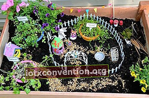 Ein Miniaturgarten mit aromatischen Pflanzen