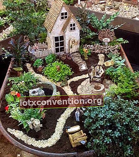 En miniatyrträdgård i en skottkärra