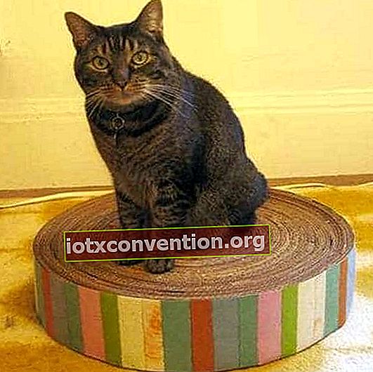 재활용 골판지에 고양이를위한 DIY 스크래치 포스트