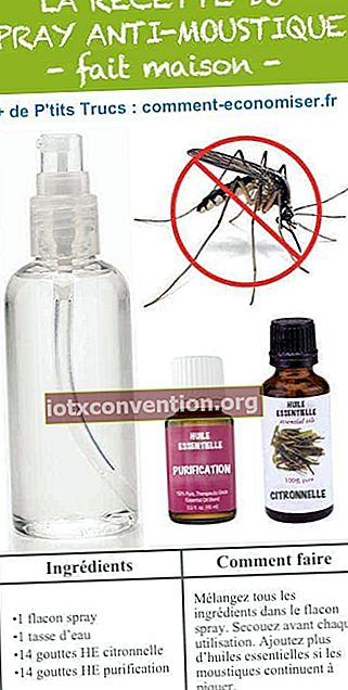 Was ist das einfache und natürliche hausgemachte Mückenspray-Rezept?