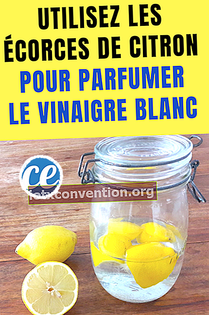 per aromatizzare l'aceto si usano le bucce di limone