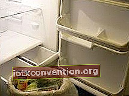 Leeren Sie den Kühlschrank, um ihn mit natürlichen Produkten zu reinigen