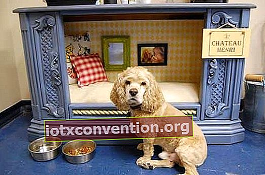 Dudukan TV lama di keranjang anjing - Ide terbaik untuk memberikan kehidupan kedua pada furnitur lama Anda ..