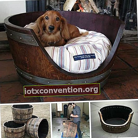 Dekoratives Projekt: Verwandeln Sie ein Weinfass in einen Hundekorb