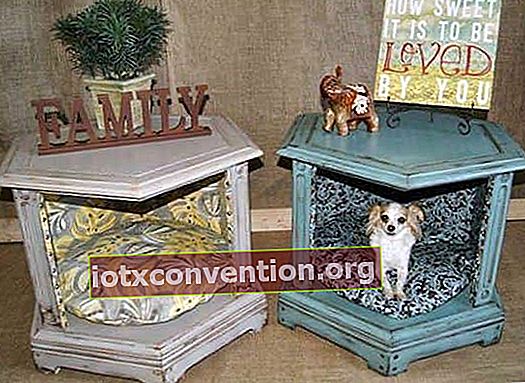 Progetto decorativo: trasforma un tavolino in una cuccia per cani