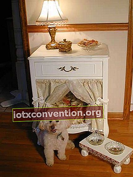 Proyek dekoratif: ubah meja samping menjadi keranjang anjing