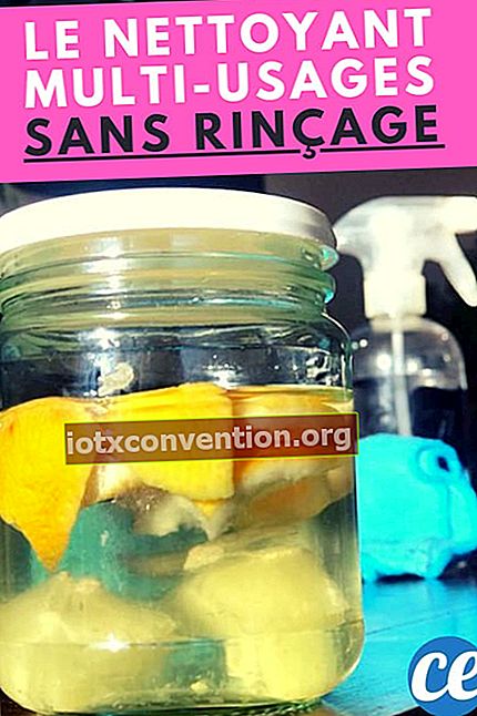 Weißer Essig und Zitronenschale in einem Glas und einer Sprühflasche für einen DIY-Mehrzweckreiniger