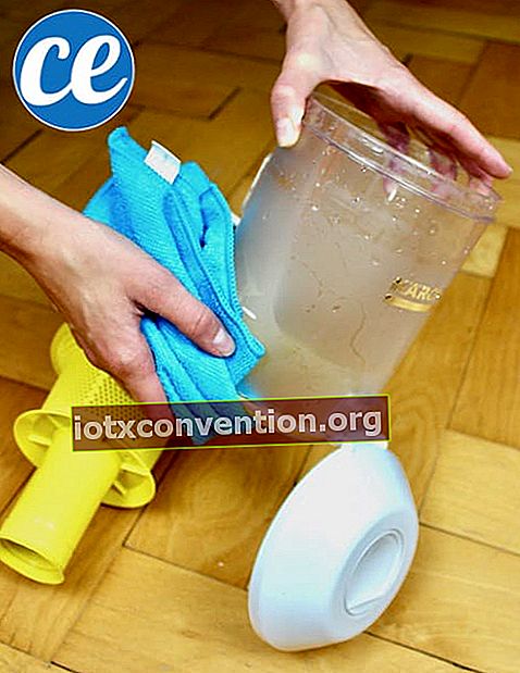 Usa un panno in microfibra per pulire il contenitore della polvere dell'aspirapolvere senza sacchetto.