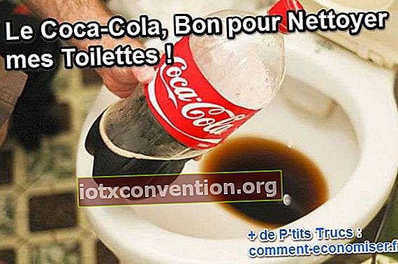 Cola in der Toilette