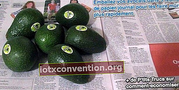 Wickeln Sie Ihre Avocados in eine Zeitung, damit sie schneller reifen