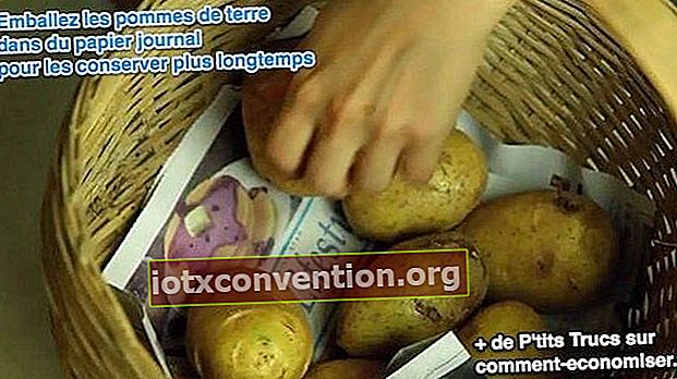 Lagern Sie Kartoffeln länger mit Zeitung