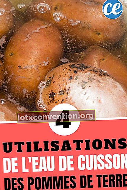 acqua di cottura delle patate: cosa farne? 4 consigli da sapere per riutilizzarlo
