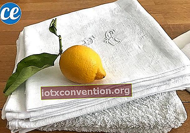 weißes Tuch mit einer Zitrone darauf, um es schnell aufzuhellen