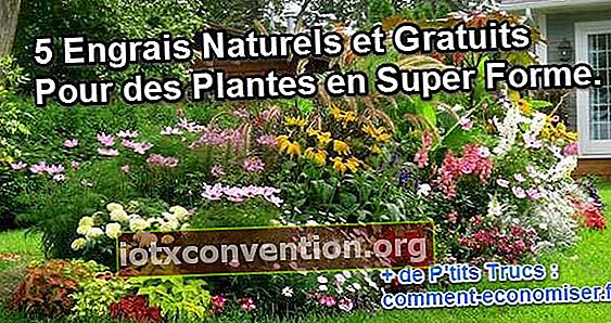 Verwenden Sie natürliche und kostenlose Düngemittel für Ihre Pflanzen