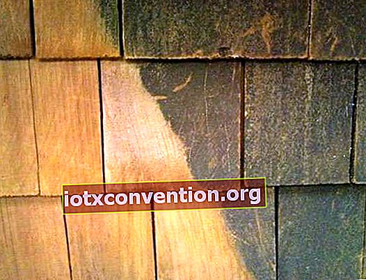 rinnovare il legno con acido ossalico