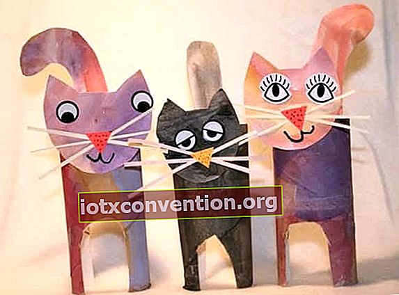 kucing berwarna-warni yang terbuat dari karton