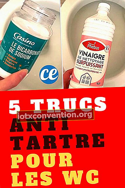5 tips efektif melawan karang gigi di toilet
