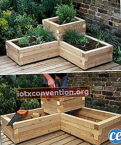 kotak kayu untuk menanam bunga