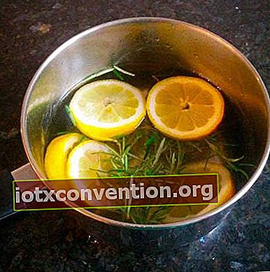 Fette di limone ed erbe aromatiche in una pentola d'acqua