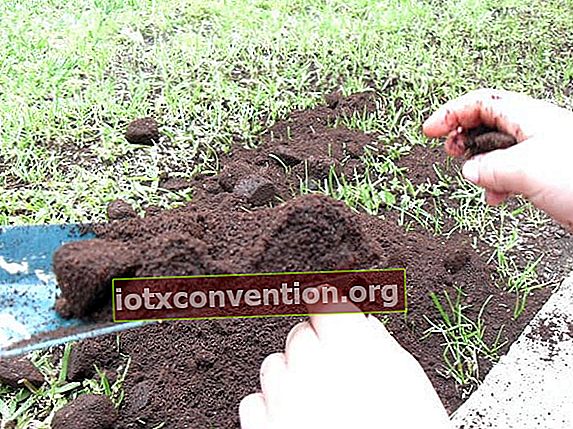 土壌の窒素含有量を改善するためのコーヒー