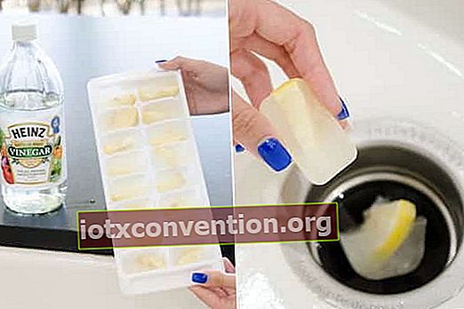 bekukan lemon dalam cuka untuk menghilangkan bau sampah