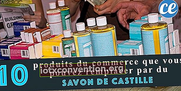 10 prodotti di uso quotidiano che puoi sostituire con il sapone di Castiglia