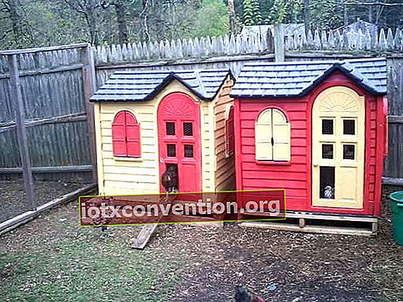 un pollaio in una capanna per bambini