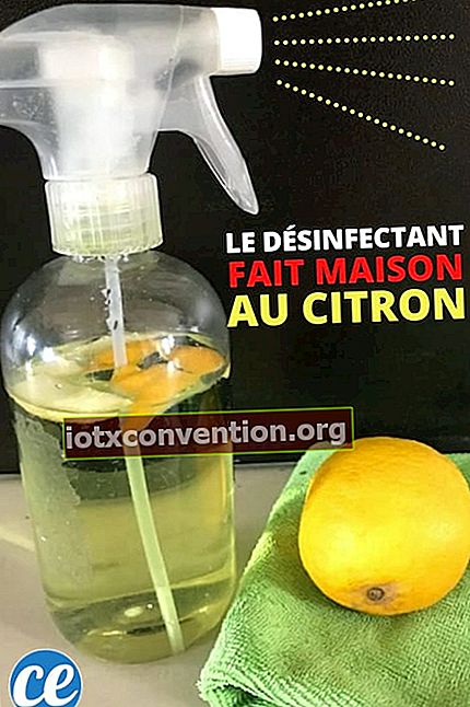 Coronavirus: Wie man ein hausgemachtes Desinfektionsmittel mit Zitrone macht.