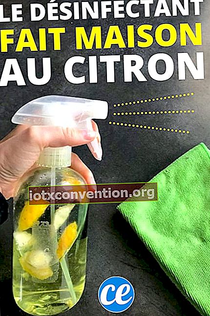 Eine Flasche weißer Essig mit Zitronenschalen zur Desinfektion und Reinigung des Hauses