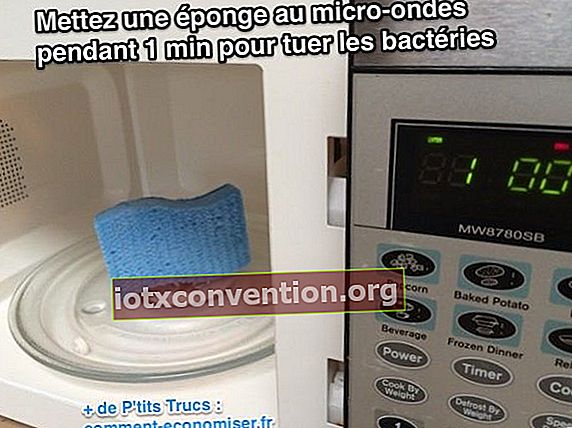 Masukkan spons ke dalam microwave selama 1 menit untuk membunuh bakteri